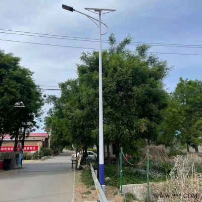 暢園cyzm太陽能路燈 太陽能路燈加工 農(nóng)村6米太陽能路燈
