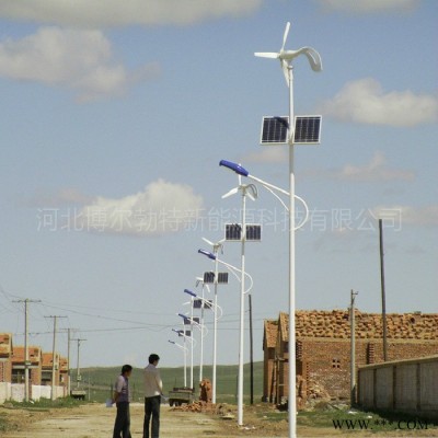 博爾勃特  工廠太陽能路燈  農(nóng)村建設專用太陽能路燈  太陽能路燈50w定制