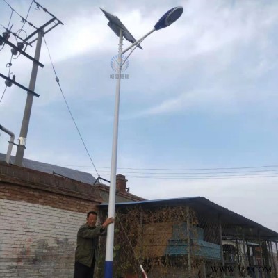 暢園cyzm 白蘭火炬太陽能路燈 LED太陽能路燈 鋰電一體火炬路燈