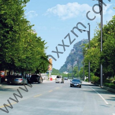 揚(yáng)州旭星LED路燈 led道路照明燈具 太陽(yáng)能路燈 單臂燈 雙臂燈