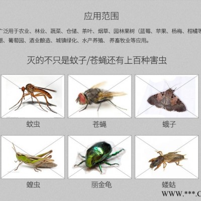 尚科廠家直供 果園殺蟲燈 太陽能果園高效殺蟲燈誘蟲燈價格