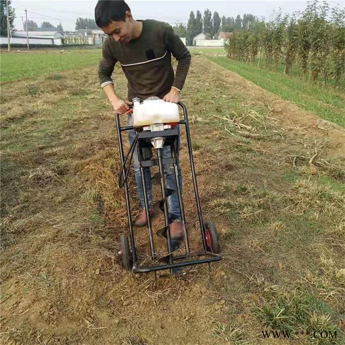 佳鑫機械  大馬力植樹挖坑機 汽油便攜式鉆眼機 太陽能路燈桿鉆孔機