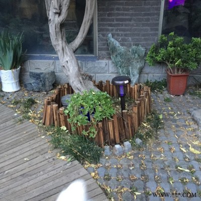 尚科 花園庭院滅蚊燈 戶外太陽能誘蚊滅蚊器 庭院小區草坪景觀燈氛圍燈N1