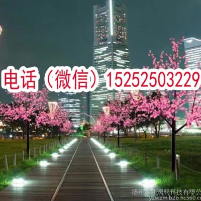 訂做仿古銅色中華燈玉蘭燈樹(shù)燈桃花燈異形燈中國(guó)結(jié)路燈燈籠路燈節(jié)日路燈中國(guó)心路燈定做異形景觀(guān)亮化燈太陽(yáng)能市電一體化智能型路燈