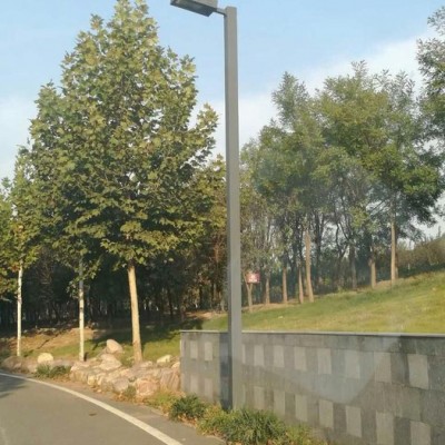 供應LED路燈 戶外道路燈燈桿 250瓦金鹵燈燈具配件 6米太陽能路燈