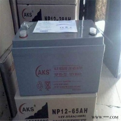 AKS奧克松蓄電池NP12-200 UPS太陽能路燈專用 貨真價實 **