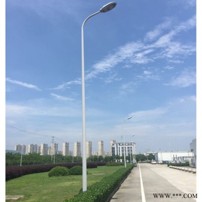 璀璨 美麗鄉村6米路燈  廣東太陽能路燈**