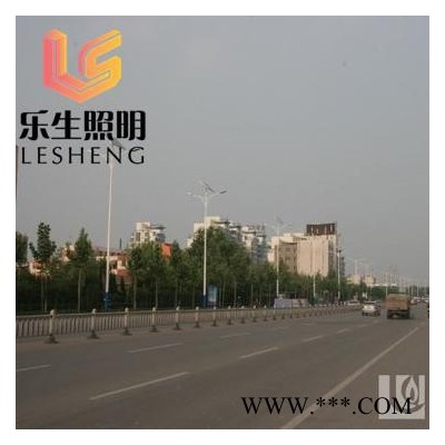樂生照明led  市電LED路燈 太陽能路燈 高桿燈廠家