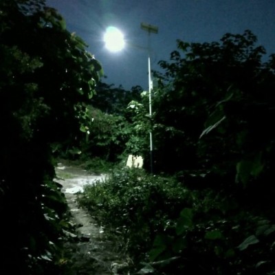 太陽能路燈 太陽能路燈廠家 太陽能路燈價格 農(nóng)村太陽能路燈