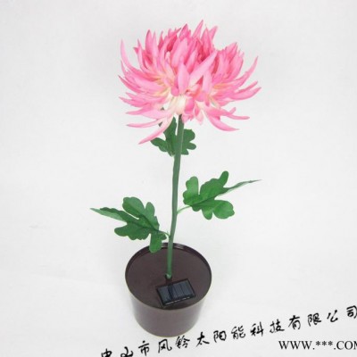 太陽能LED菊花燈、太陽能仿真花燈、太陽能2燈、太陽能庭院燈