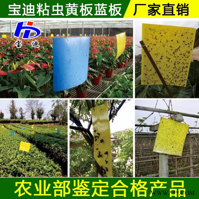 寶迪牌BD-SC01 太陽能殺蟲燈廠家，農用果園茶園專用頻振式殺蟲燈生產廠家