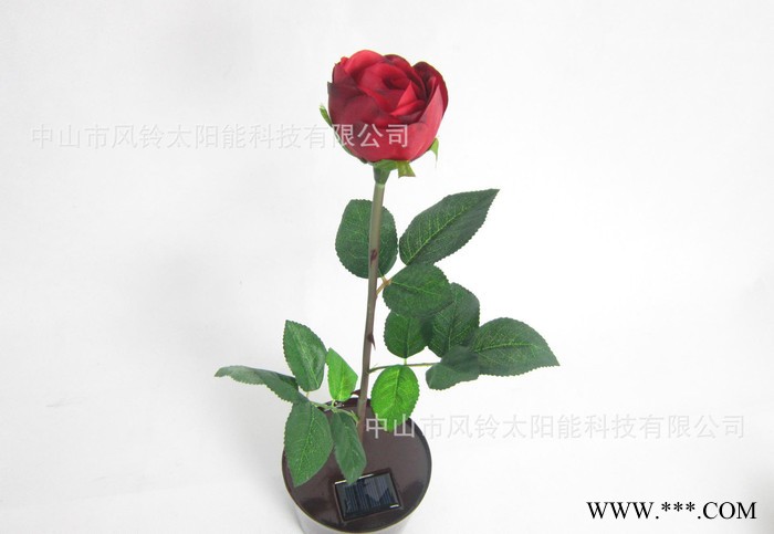 太陽(yáng)能花盆燈、太陽(yáng)能紅色玫瑰花燈、太陽(yáng)能LED盆花、LED陽(yáng)