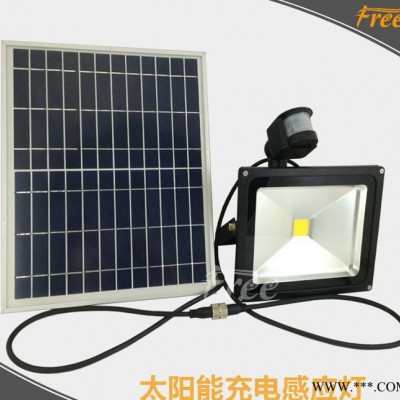 LED太陽能投光燈帶感應太陽能燈太陽能充電投光燈直銷