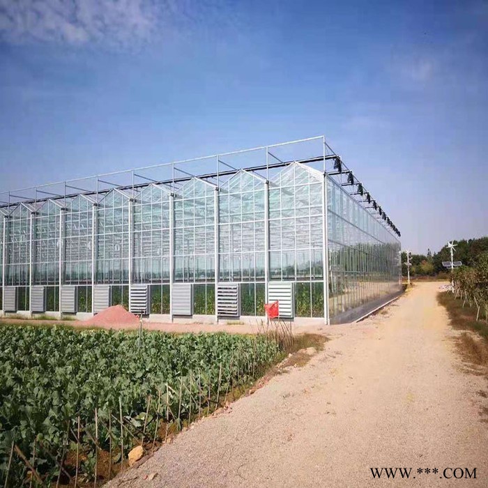 智能玻璃溫室大棚大棚生態觀光熱鍍鋅鋼骨架設計