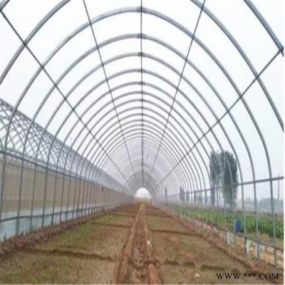 光伏溫室大棚 中國濰坊智能溫室建造 旭航