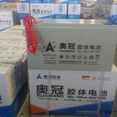 奧冠膠體蓄電池6-CNFJ-50 12V50AH光伏發電太陽能電池 電動轎車專用電池  通訊電源電池 牽引線蓄電池