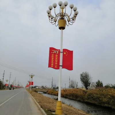 風光互補太陽能路燈 .鋰電池路燈 風光互補路燈 .太陽能路燈