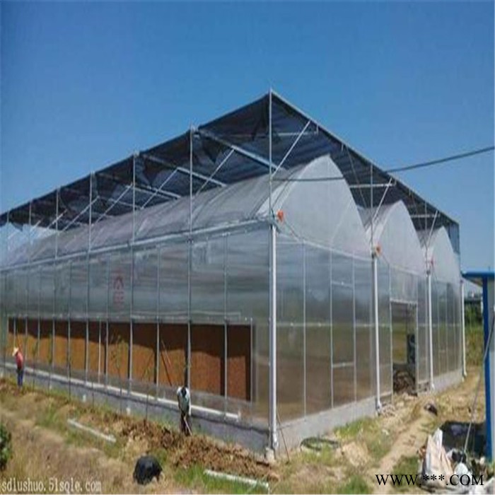 濟(jì)南陽光板溫室公司 光伏太陽能大棚 旭航