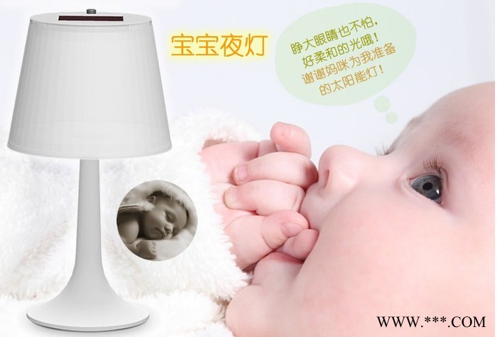 供應太陽能庭院燈草坪燈及工藝品