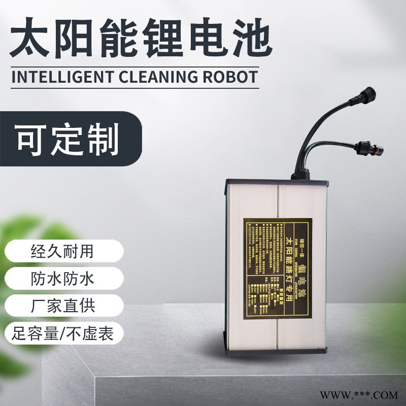勁時LD12-0002 太陽能鋰電池 可定制 鋰電池生產(chǎn)廠家
