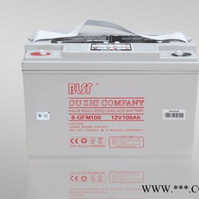 BLSF保利時蓄電池6-GFM100寶利時12V100AH閥控密封鉛酸蓄電池保利時機房ups免維護蓄電池太陽能電池