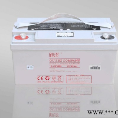 BLSF保利時蓄電池6-GFM24寶利時12V24AH閥控密封鉛酸蓄電池保利時機房ups免維護蓄電池太陽能電池