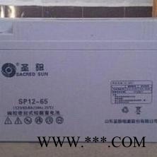 包郵圣陽蓄電池SP12-65鉛酸免維護(hù)12V65ah UPS直流屏太陽能專用