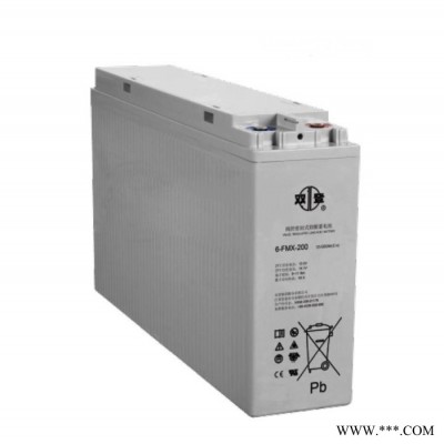 雙登蓄電池6-FMX-100B機房鉛酸免維護儲能應急電源12V100AH蓄電池廠家