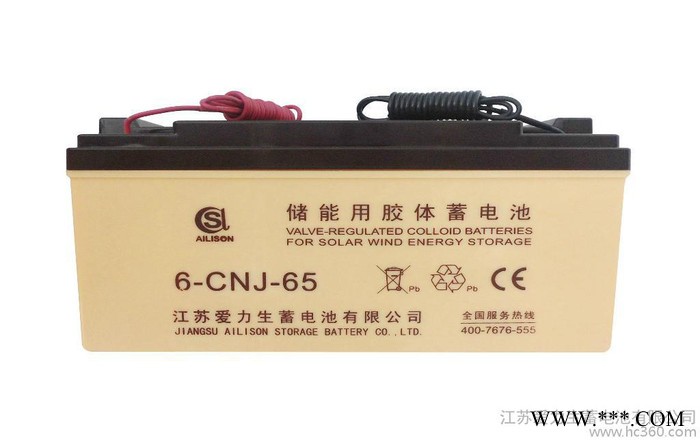 供應(yīng)6-CNJ-65AH蓄電池/江蘇蓄電池/蓄電池批發(fā)/膠體電池采購/愛力生蓄電池/太陽能蓄電池