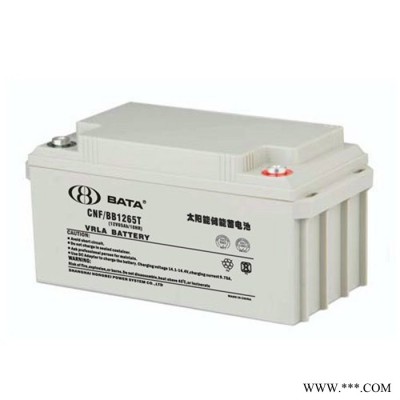 上海鴻貝蓄電池CNF/BB1265T太陽(yáng)能專用儲(chǔ)能蓄電池 現(xiàn)場(chǎng)供應(yīng)