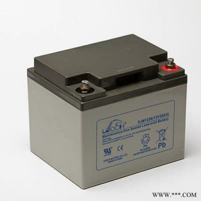 理士DJM1217鉛酸免維護LEOCH12V17AH機房儲能應急電源蓄電池廠家