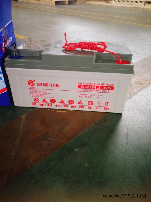 風帆蓄電池6-CNJ-65 膠體儲能蓄電池