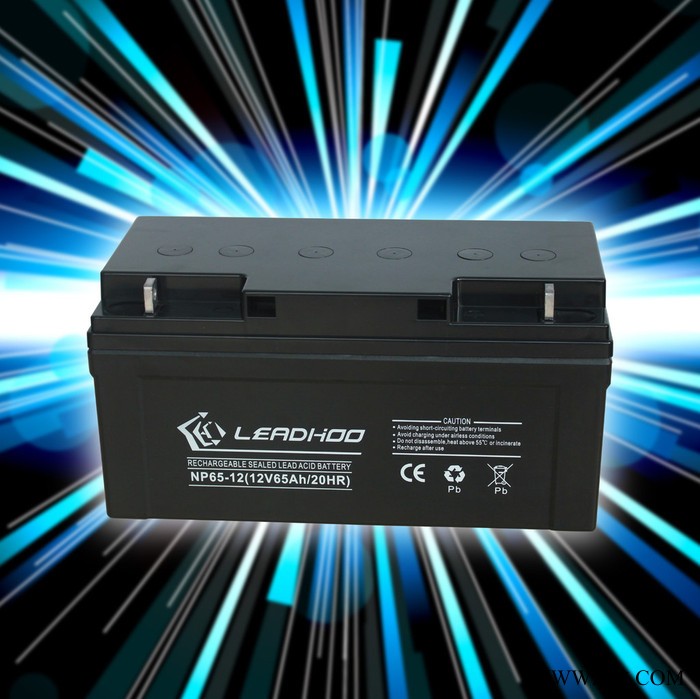 利虎12V65AH 鉛酸蓄電池 太陽能蓄電池 UPS/EPS蓄電池