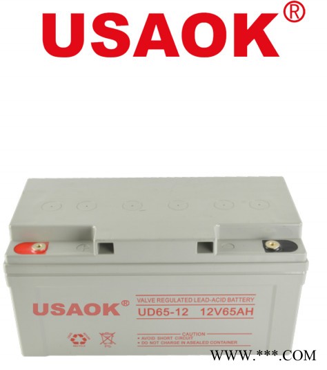 USAOK12V65AH鉛酸免維護蓄電池 太陽能系統(tǒng) 監(jiān)控專用 UPS專用