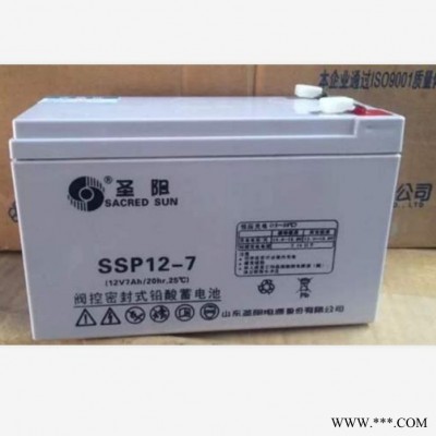 圣陽蓄電池SP12-17UPS電源太陽能直流屏專用鉛酸免維護蓄電池12V17AH質保包郵