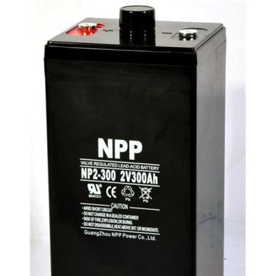 耐普蓄電池NP2-200太陽能EPS.UPS鉛酸免維護(hù)2V2