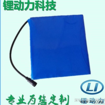 太陽能路燈鋰電池12v32ah 一體化太陽能路燈專用鋰電池防水好耐高低溫性能好