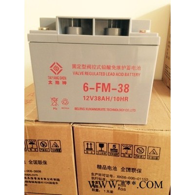 太陽神6-FM-100鉛酸免維護(hù)蓄電池