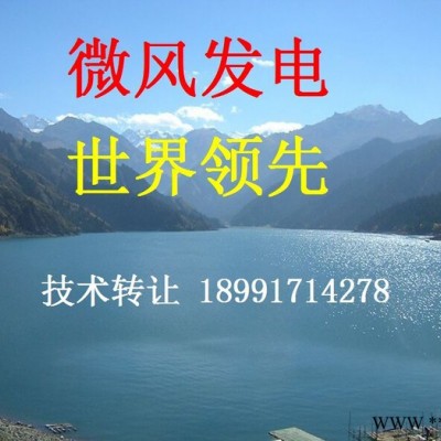 風(fēng)力發(fā)電機(jī) 高性能微風(fēng)發(fā)電機(jī)  技術(shù)轉(zhuǎn)讓 24小時(shí)連續(xù)發(fā)電 太陽能技術(shù)應(yīng)用 渦輪式風(fēng)力發(fā)電機(jī) 小型風(fēng)力發(fā)電機(jī) 大型風(fēng)力