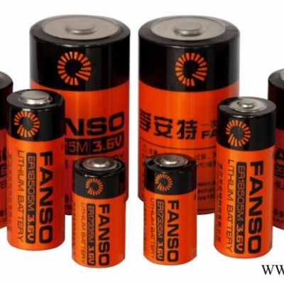 供應(yīng)FANSO孚安特 ER18505M  3.6V 鋰亞電池  水表專(zhuān)用