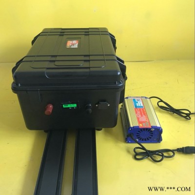 亞森48V80AH磷酸鐵鋰電池 量超聲波逆變器鋰電池 鋰電池