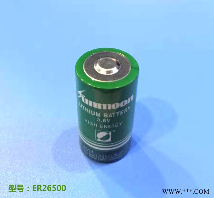 供應ER26500 ER26500M 3.6V鋰亞電池