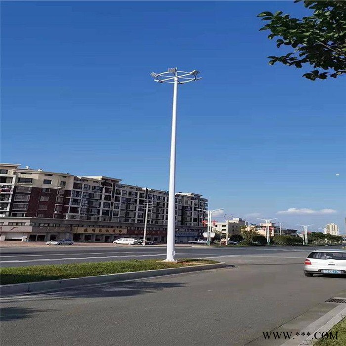 太陽能路燈廠家 景觀燈 農(nóng)景觀燈廠家 鋰電池6米太陽能路燈 太陽能路燈
