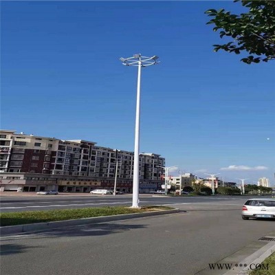 太陽能路燈廠家 景觀燈 農(nóng)景觀燈廠家 鋰電池6米太陽能路燈 太陽能路燈