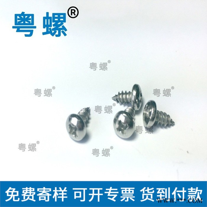 手機螺絲廠家 惠州不銹鋼螺絲廠 微型圓頭平頭手機電腦小螺絲 粵螺光伏螺絲