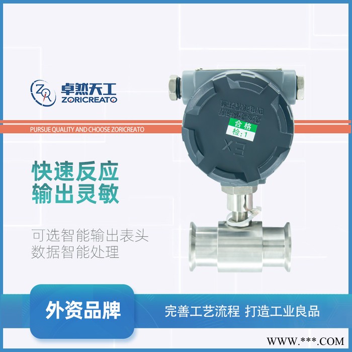 卓然天工FMTB200鋰電池供電沼氣計量表 液化氣 天然氣 甲烷氮氣 流量計 不銹鋼DN50流量傳感器 氮氣流量計