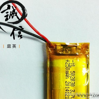 **502030-250mAh 聚合物高溫鋰電池  品牌干電池 鋰電池定做