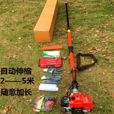 加長(zhǎng)伸縮桿汽油高枝鋸操作 大樹(shù)高樹(shù)修枝鋸質(zhì)量好 鋰電池高枝油鋸