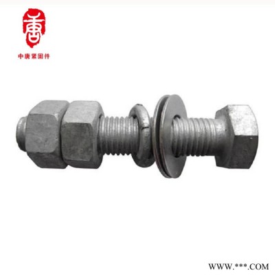 現(xiàn)貨供應(yīng) 熱鍍鋅螺栓 光伏發(fā)電螺栓 規(guī)格齊全