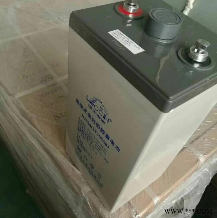 理士蓄電池DJ800 太陽能光伏電站2V800AH 鉛酸蓄電池 免維護(hù)蓄電池